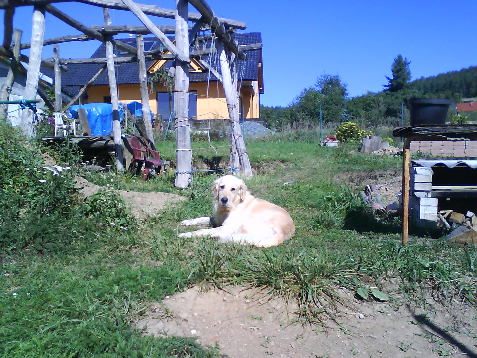 DSC00170.JPG